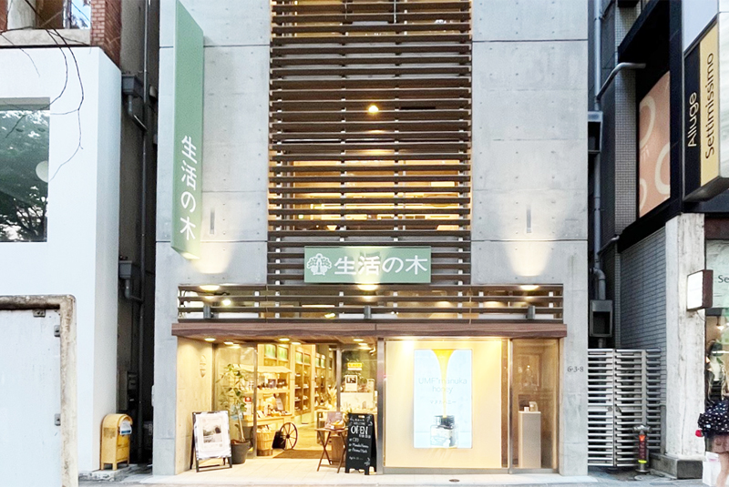 生活の木　本社ビル　原宿表参道店　改修工事